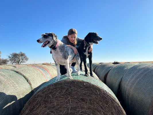Hawkins and Bristol have been part of ranch life for years, and now they are helping show the next generation the ropes.