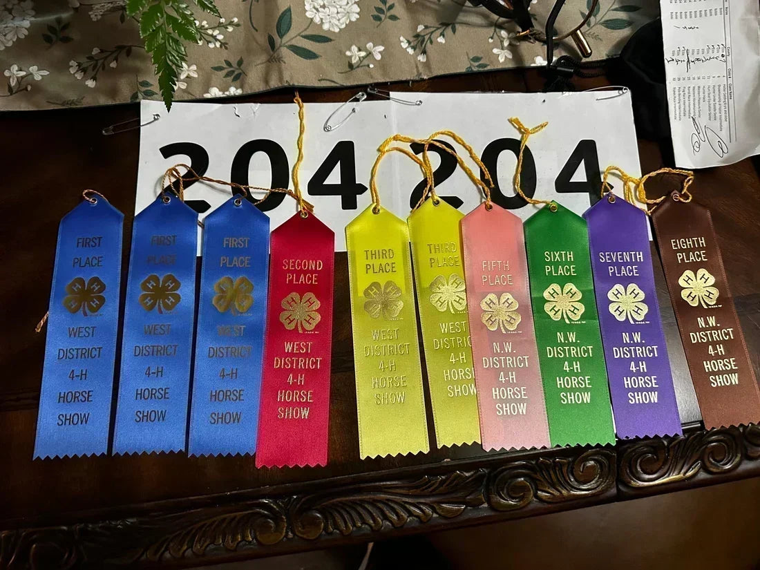 More Than the Ribbons: Temperince’s Day at the District 4-H Horse Show